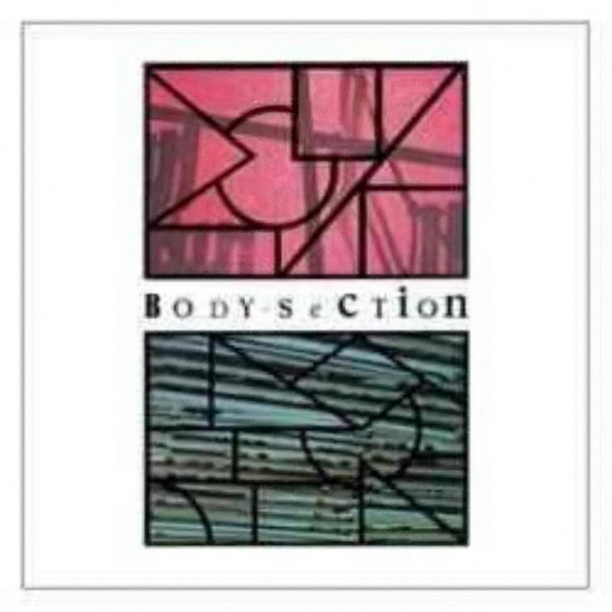 Body Section cover